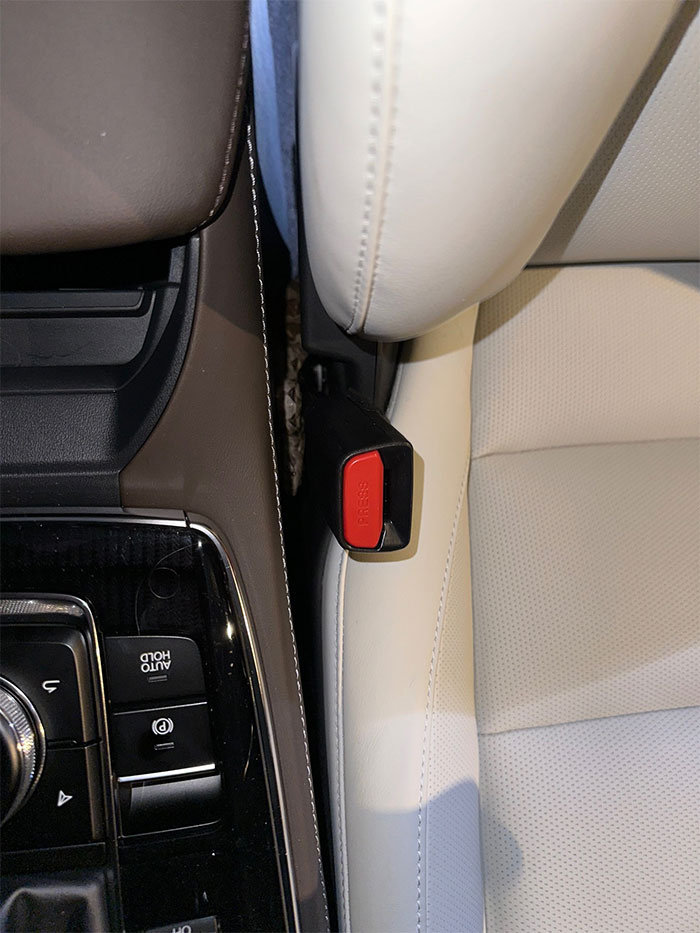 My New Car Came With Blind Spot Monitoring, A Year’s Worth Of Oil Changes And A Red Tail Boa