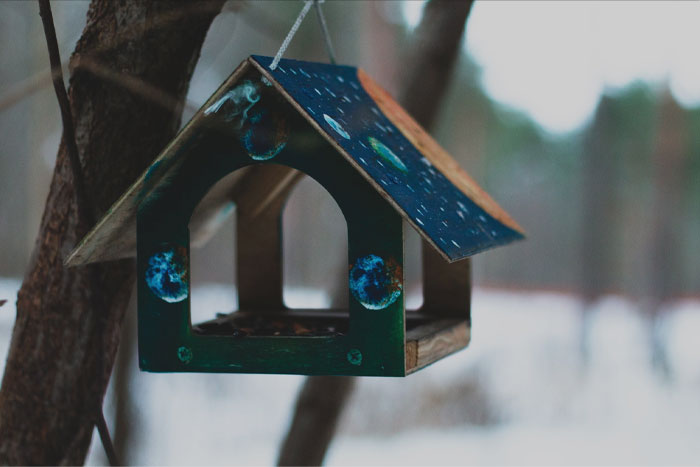 Bird Feeder on a tree in winter season 