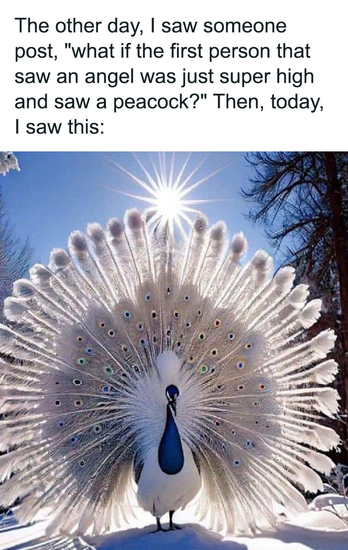 Accidental-Surrealism