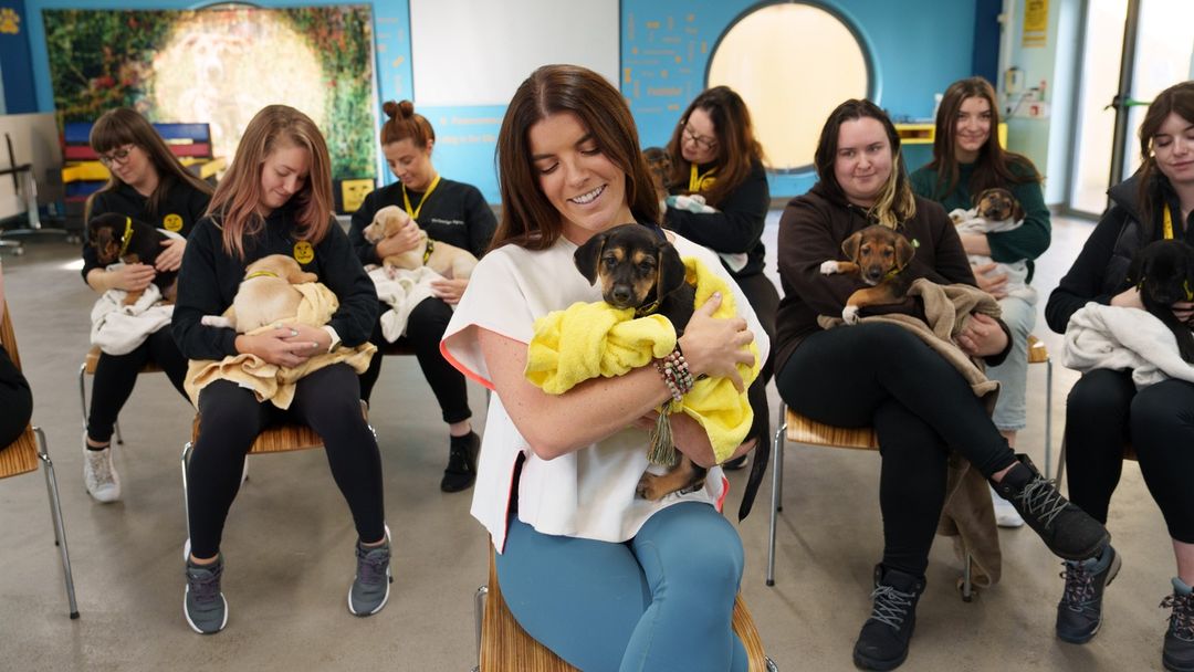 23 Dogs Were Allowed To Pick Their Own Christmas Gifts At Animal Shelter, And Here’s What Happened 23 Dogs Were Allowed To Pick Their Own Christmas Gifts At Animal Shelter, And Here’s What Happened