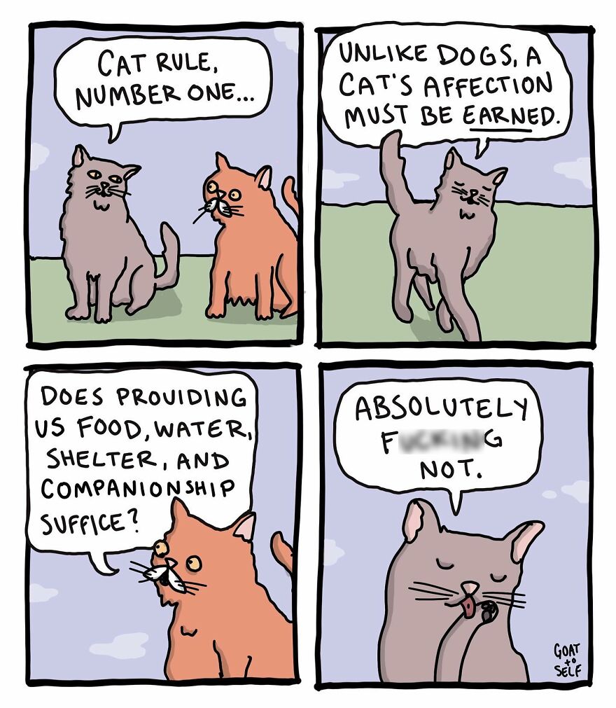 New Quirky Comics By Cameron Spires With A Dark Ending