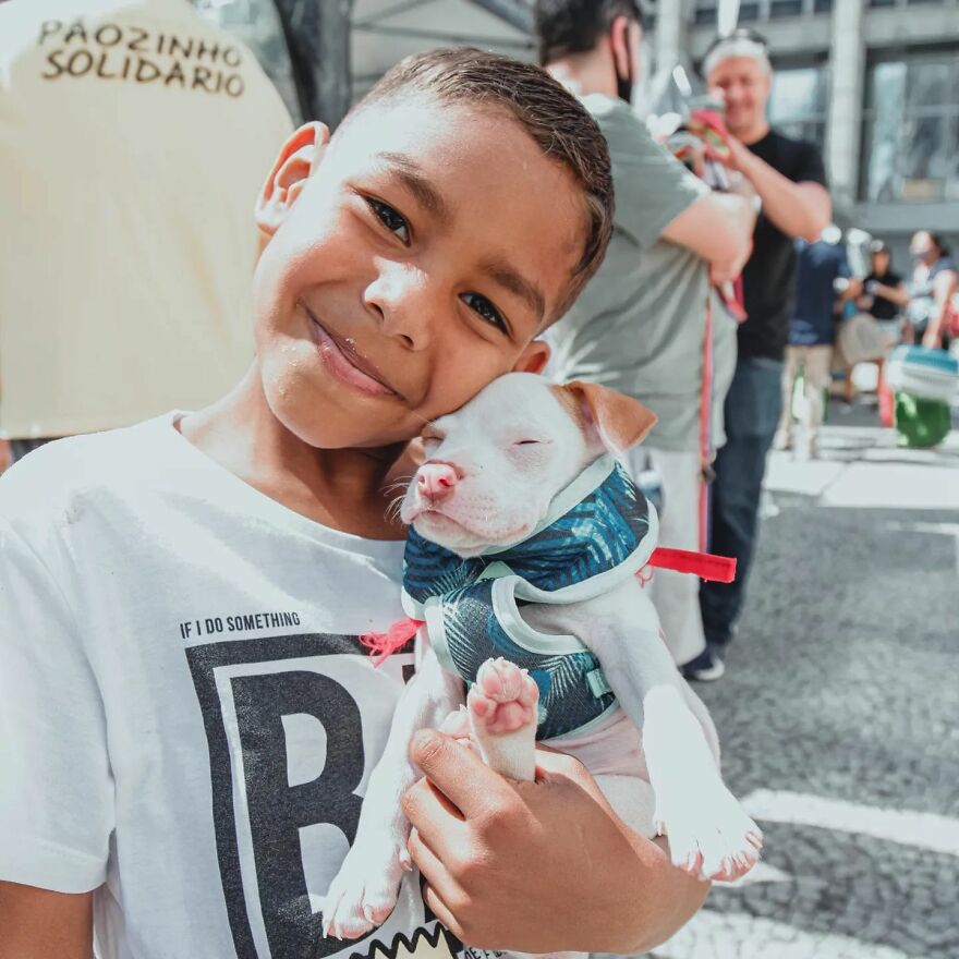 In Brazil, Dogs Make Homeless Children's Lives A Little Less Sad (30 Pics)