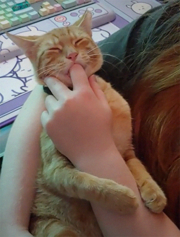 Cheddar Likes To Suck People's Fingers, The Little Weirdo