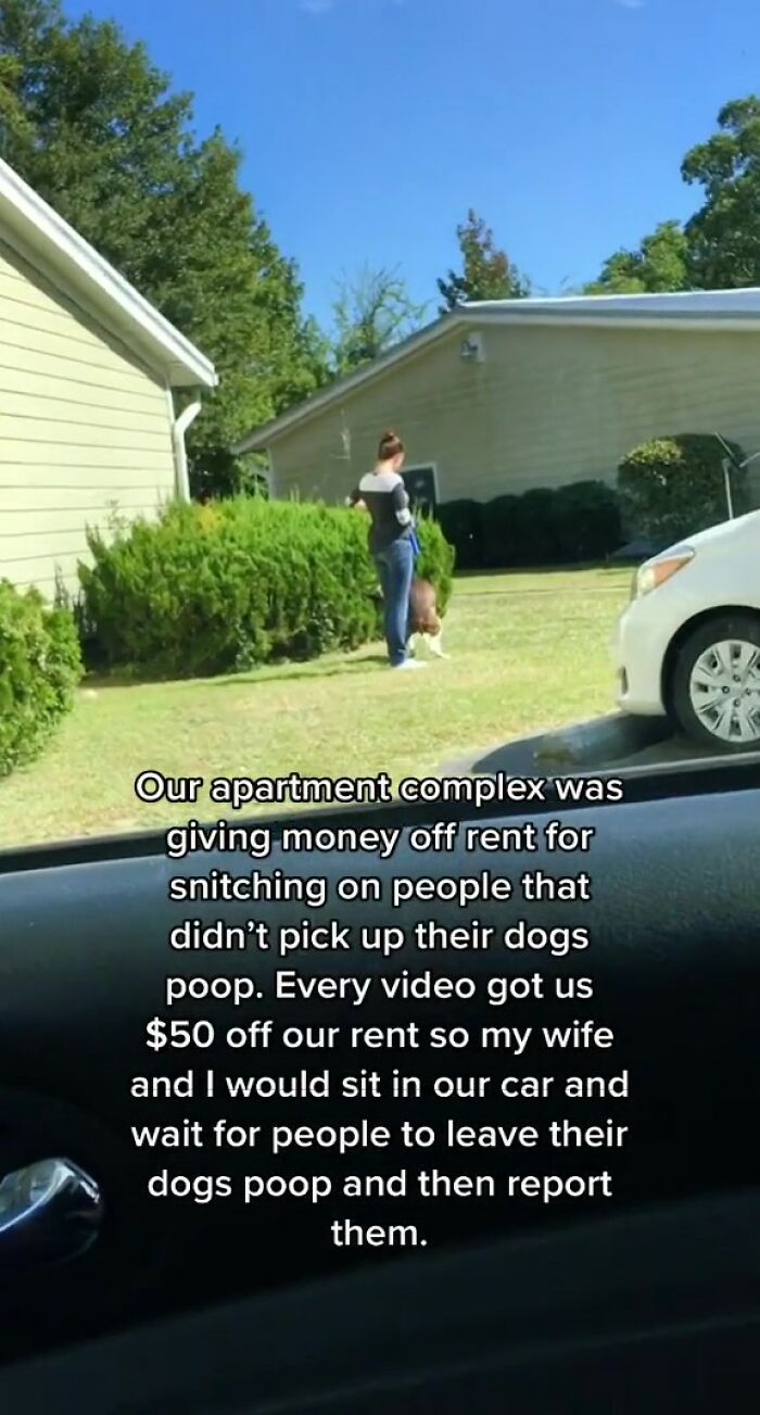 Apartment Complex Offers $50 Off Rent In Exchange For Videos Of Residents Not Cleaning Up After Their Dogs So This Couple Takes Advantage Of It Apartment Complex Offers $50 Off Rent In Exchange For Videos Of Residents Not Cleaning Up After Their Dogs So This Couple Takes Advantage Of It