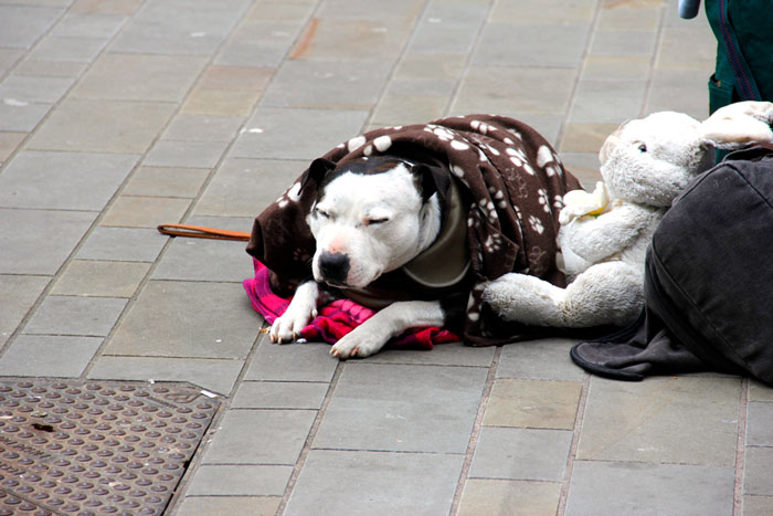 30 Decisions People Made During The Pandemic That, In Hindsight, Bit Them In The Butt, As Pointed Out In This Viral Thread
