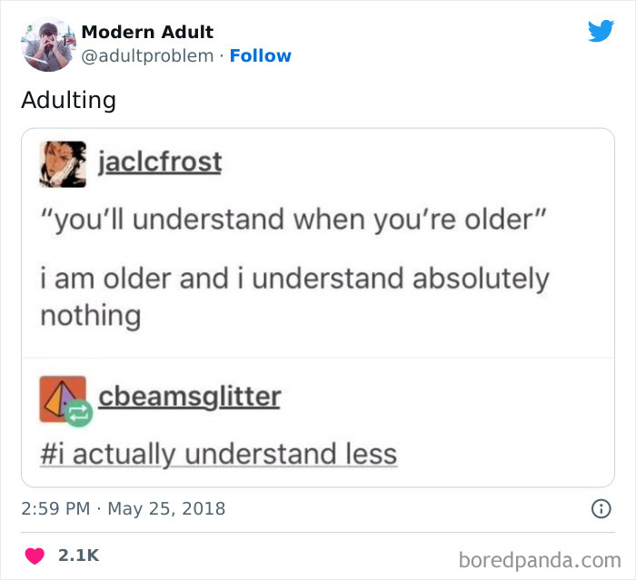 Modern-Adult-Struggles-Adultproblem