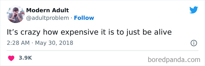 Modern-Adult-Struggles-Adultproblem