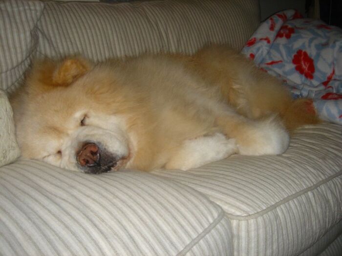 30 Decisions People Made During The Pandemic That, In Hindsight, Bit Them In The Butt, As Pointed Out In This Viral Thread