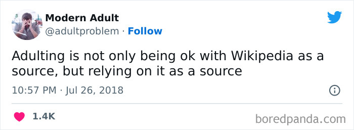 Modern-Adult-Struggles-Adultproblem