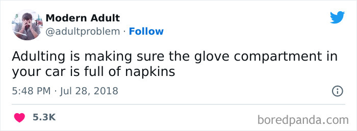 Modern-Adult-Struggles-Adultproblem