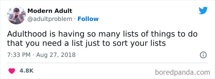 Modern-Adult-Struggles-Adultproblem