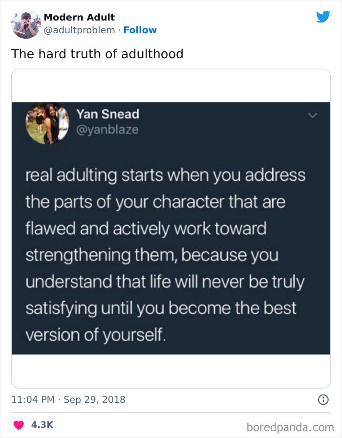 Modern-Adult-Struggles-Adultproblem