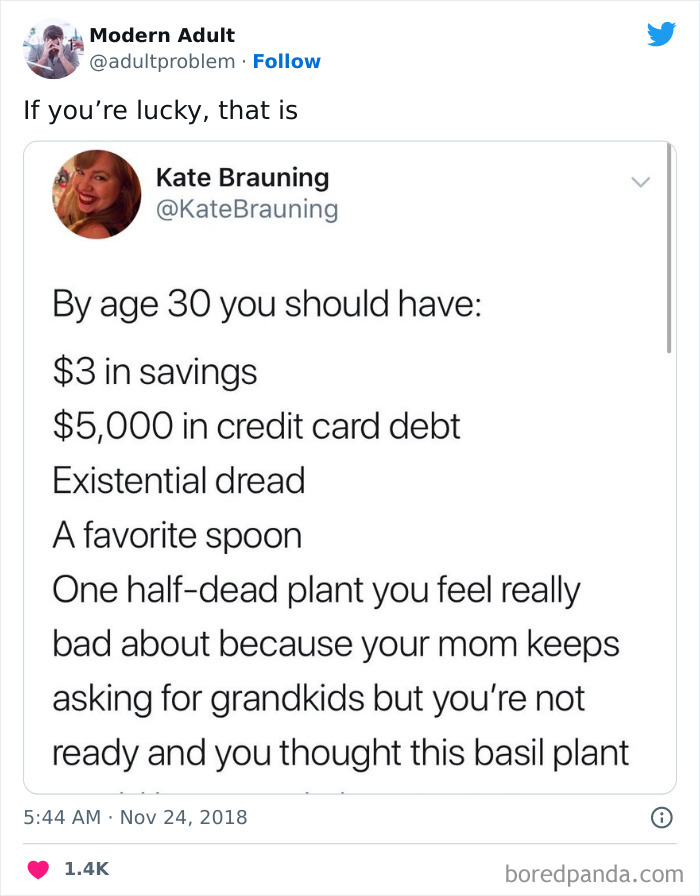 Modern-Adult-Struggles-Adultproblem