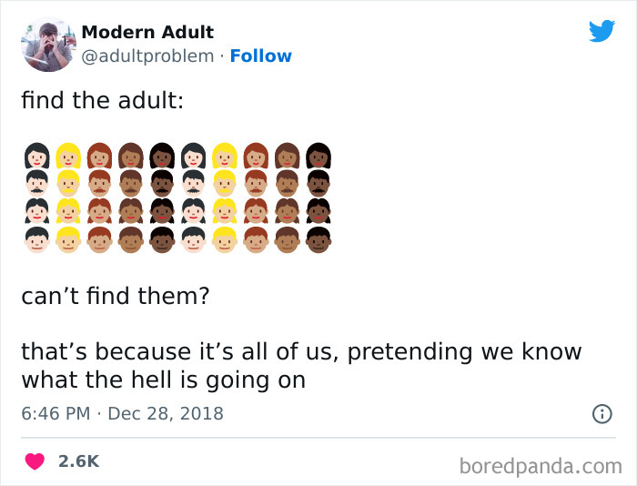 Modern-Adult-Struggles-Adultproblem