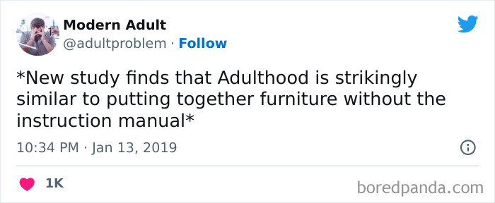 Modern-Adult-Struggles-Adultproblem