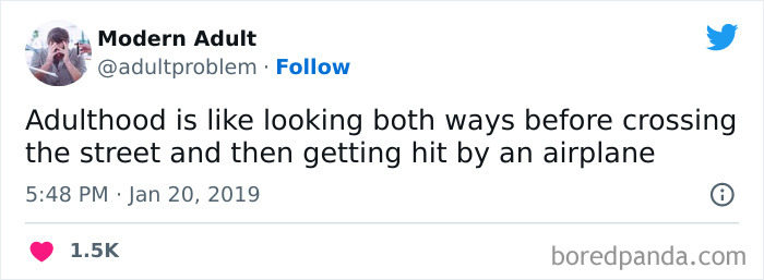 Tweet about adulting humor comparing it to looking both ways before crossing and then getting hit by an airplane.