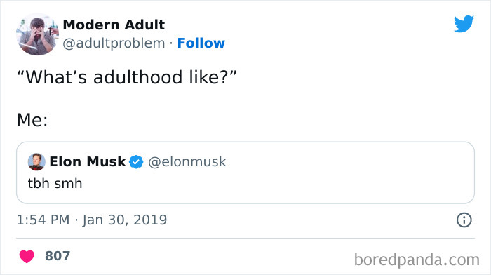 Modern-Adult-Struggles-Adultproblem