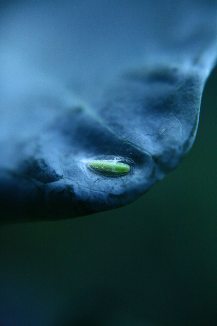 Photography For Your Coffee Break: 32 Photos That I Took