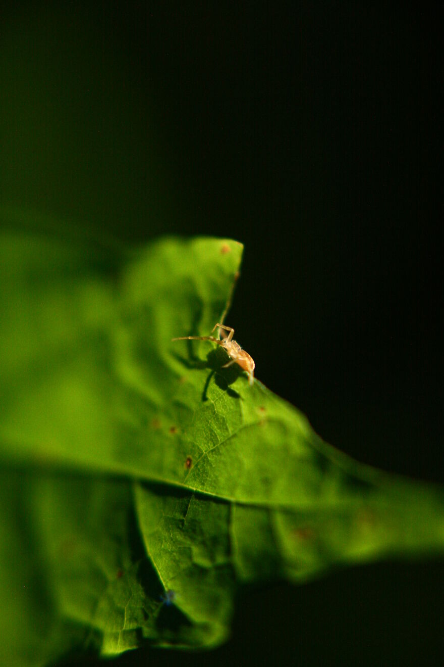 Photography For Your Coffee Break: 32 Photos That I Took