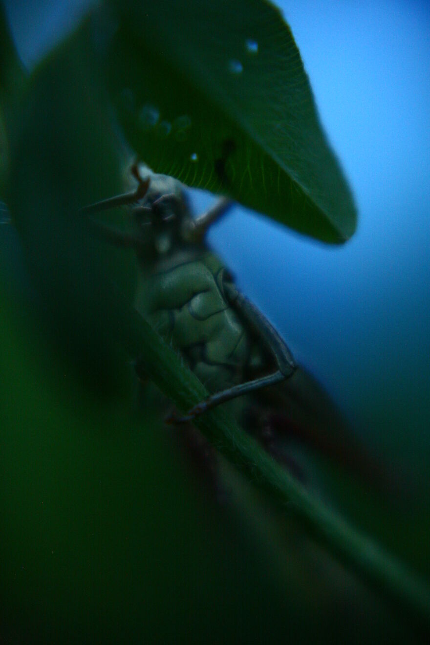 Photography For Your Coffee Break: 32 Photos That I Took