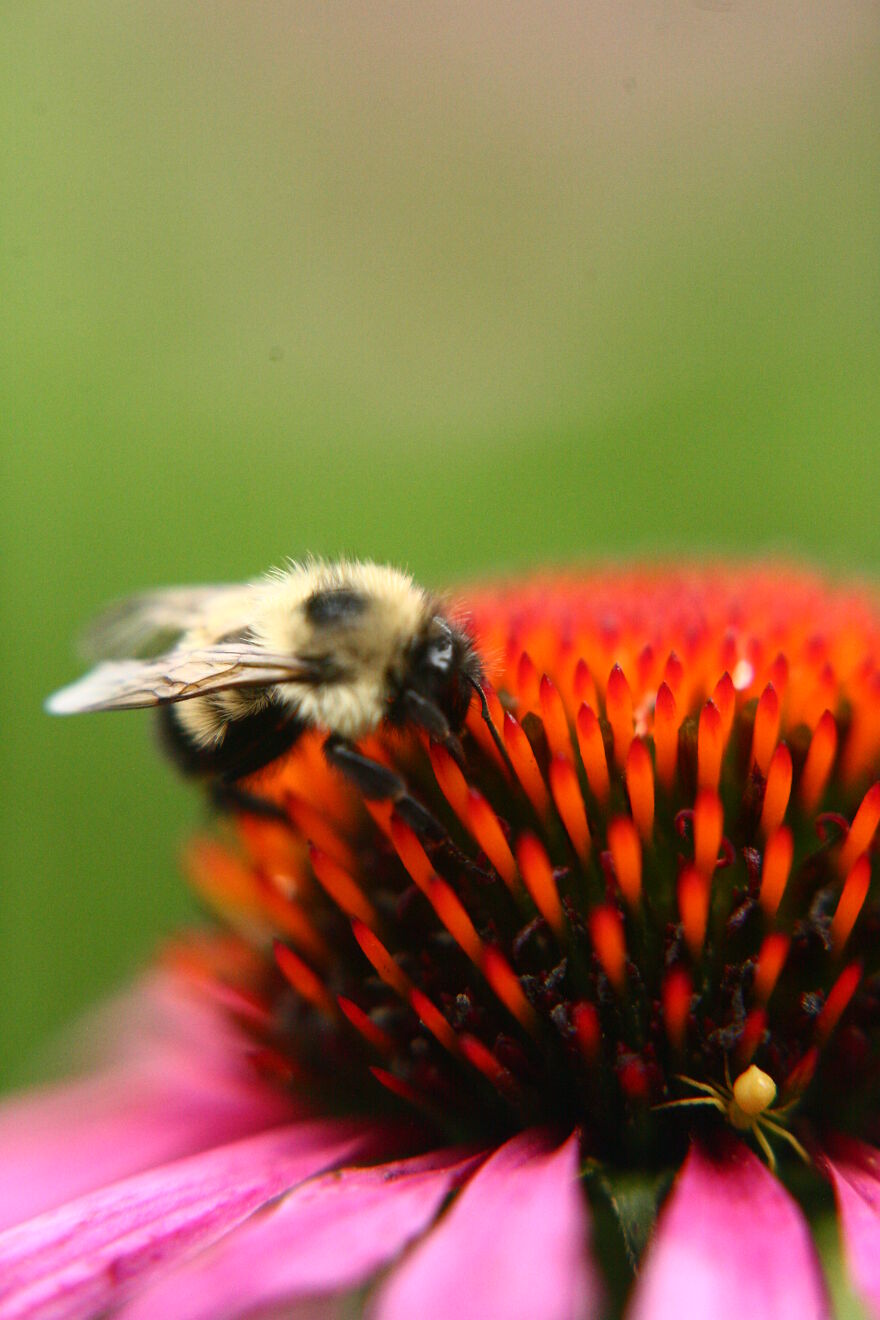 Photography For Your Coffee Break: 32 Photos That I Took