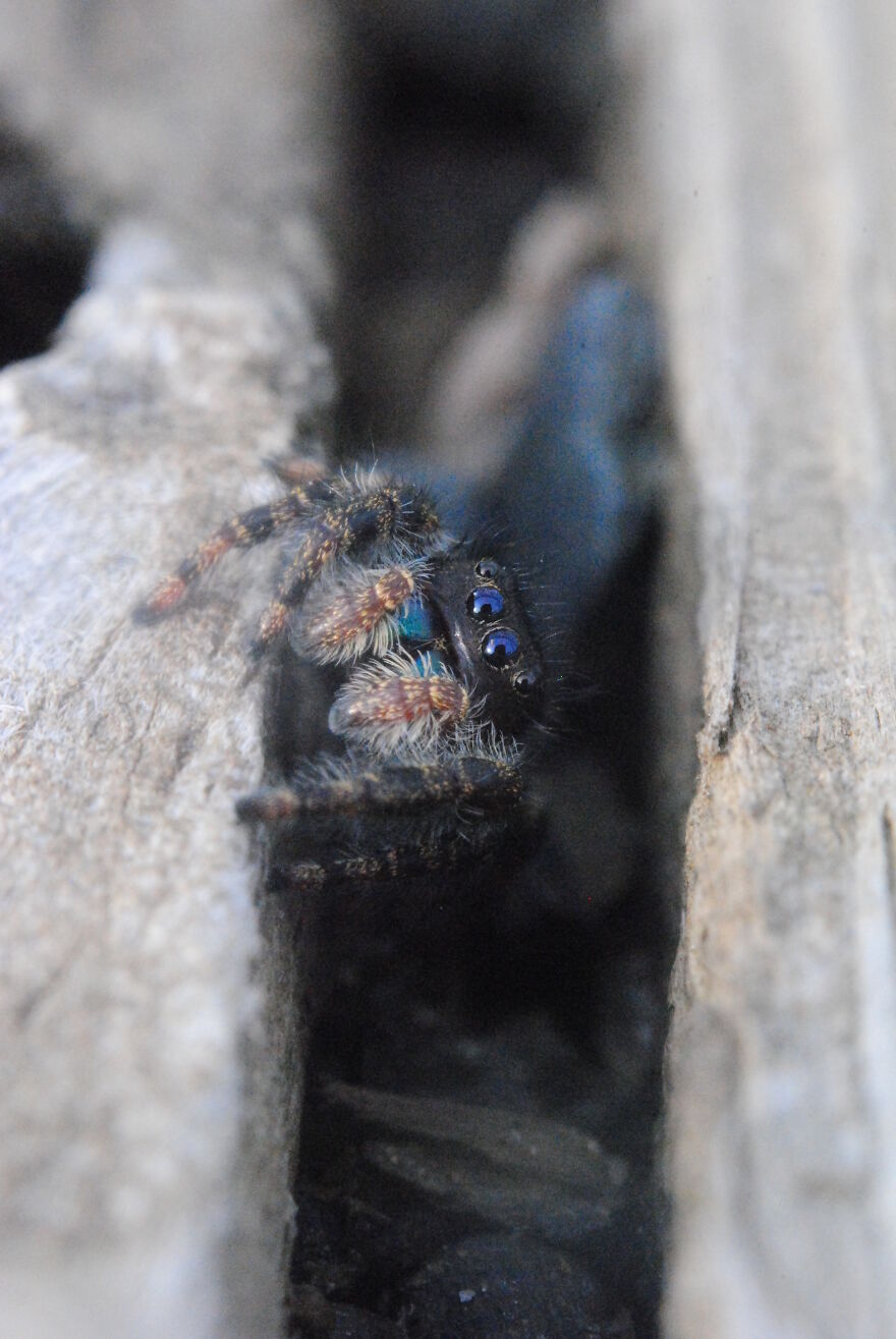 Photography For Your Coffee Break: 32 Photos That I Took