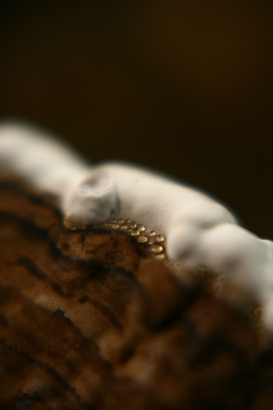 Photography For Your Coffee Break: 32 Photos That I Took