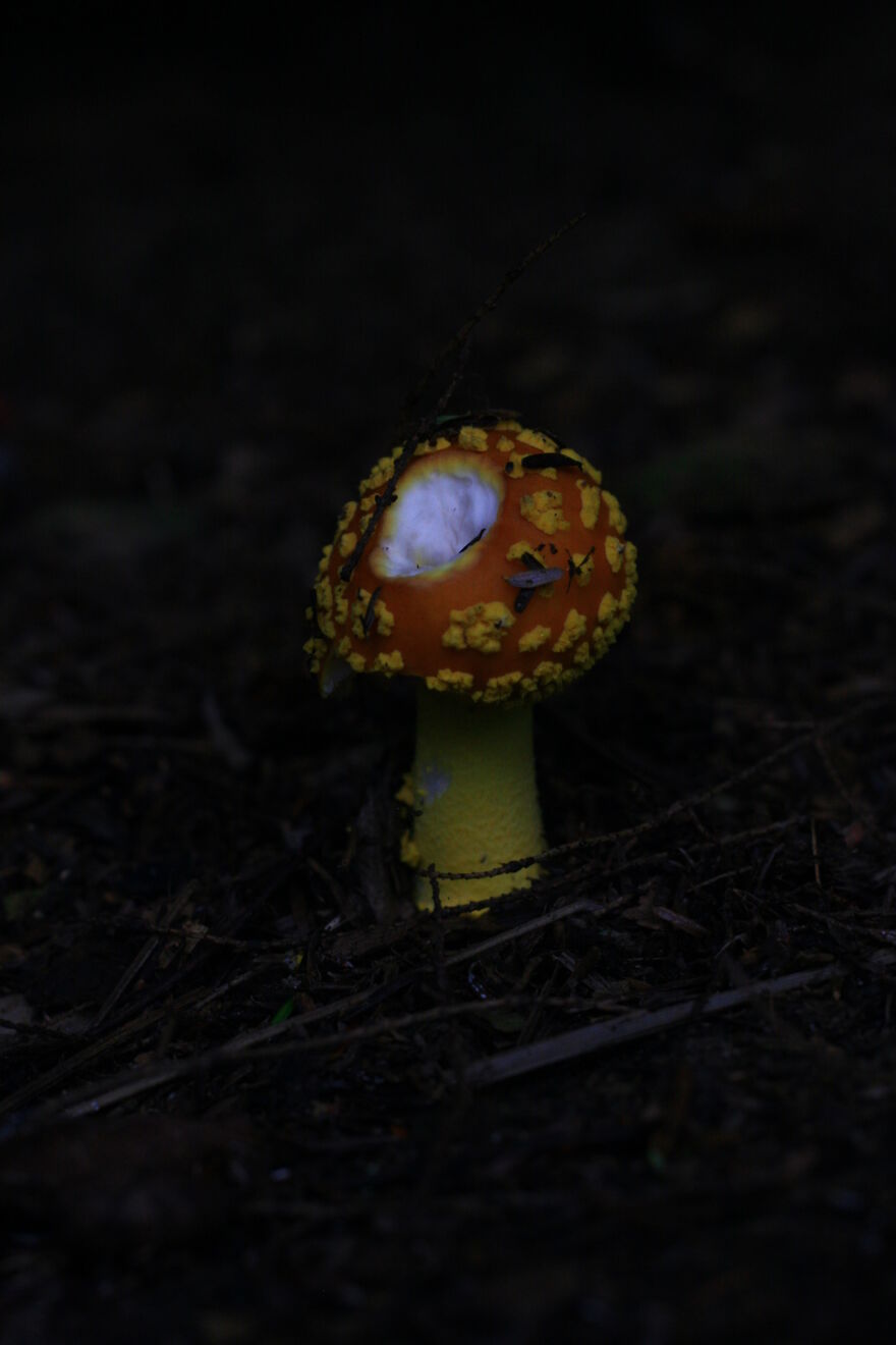 Photography For Your Coffee Break: 32 Photos That I Took