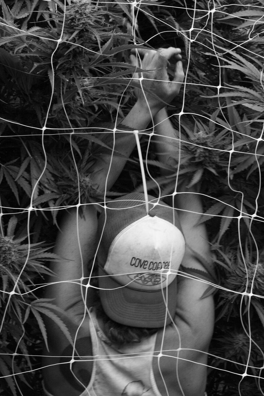 Photography For Your Coffee Break: 32 Photos That I Took