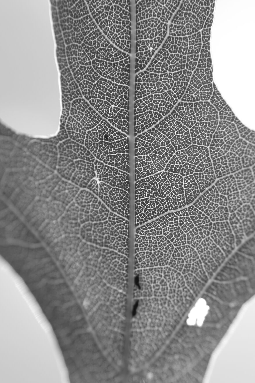 Photography For Your Coffee Break: 32 Photos That I Took