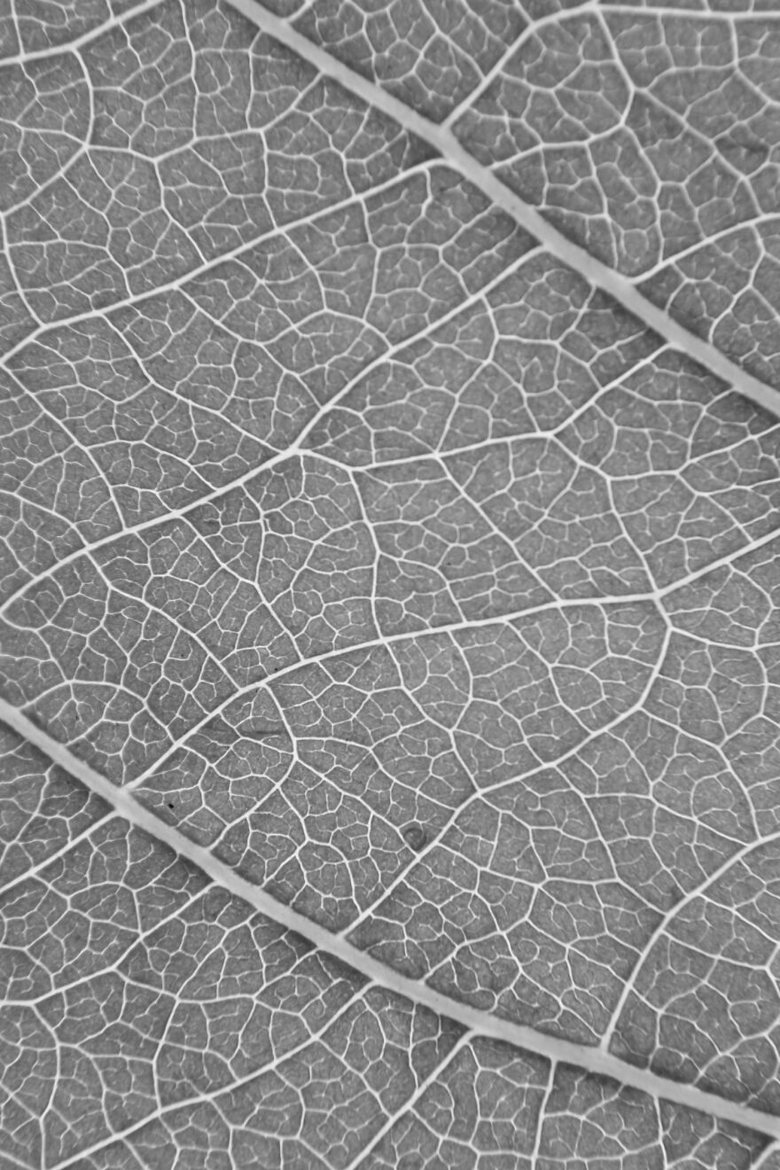 Photography For Your Coffee Break: 32 Photos That I Took