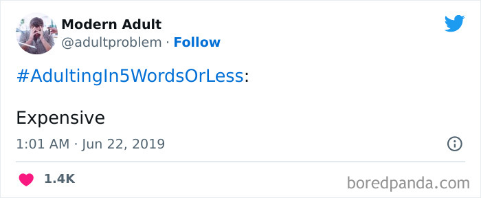 Modern-Adult-Struggles-Adultproblem