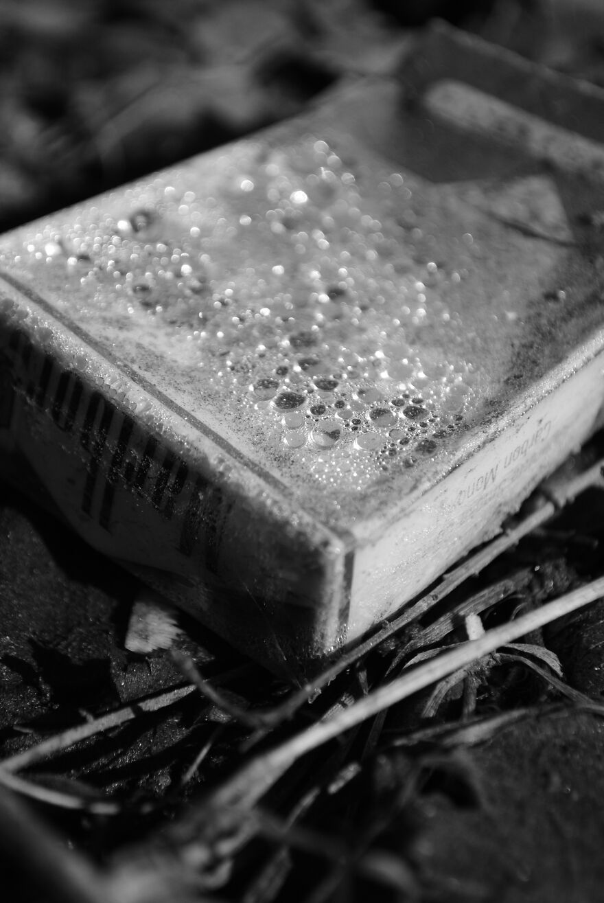 Photography For Your Coffee Break: 32 Photos That I Took