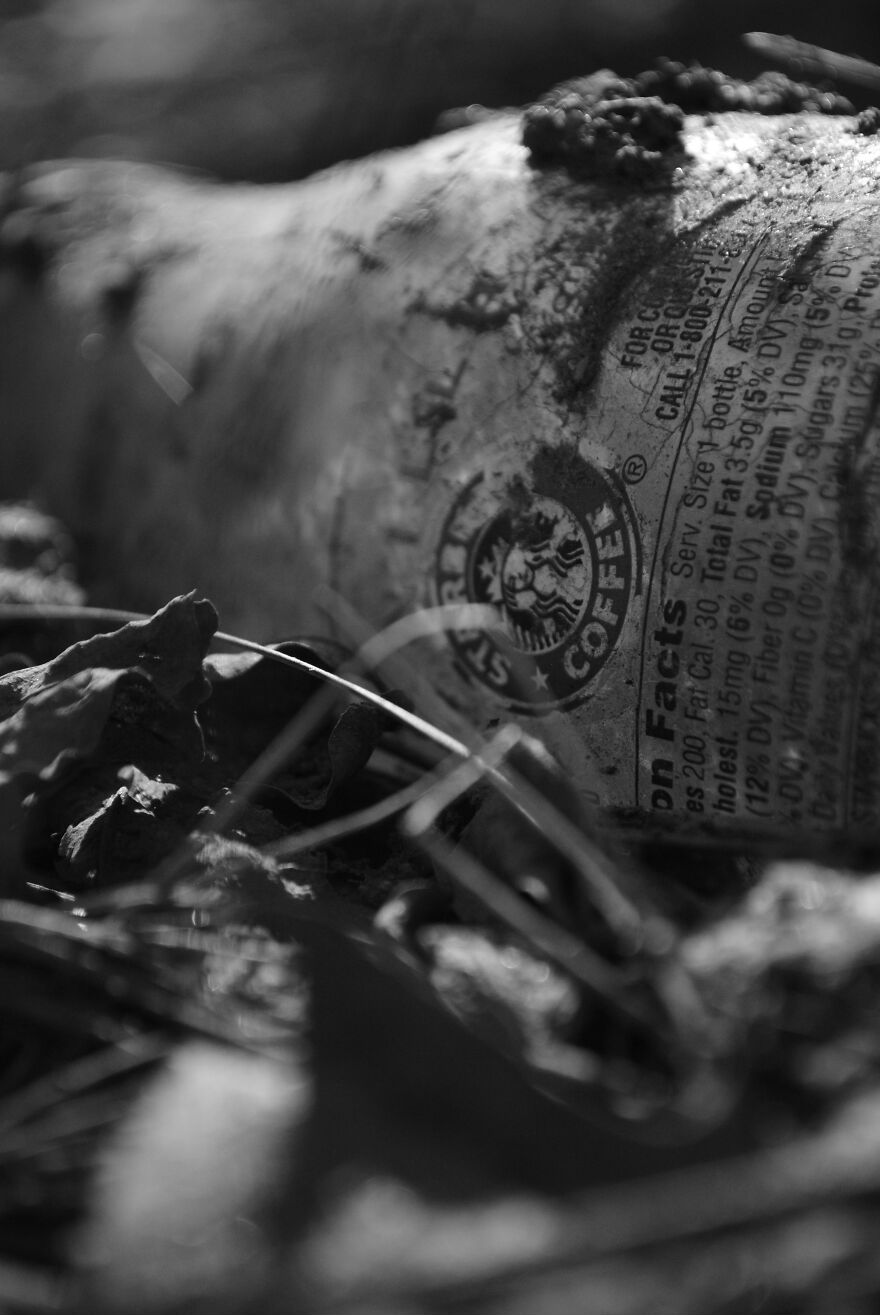 Photography For Your Coffee Break: 32 Photos That I Took