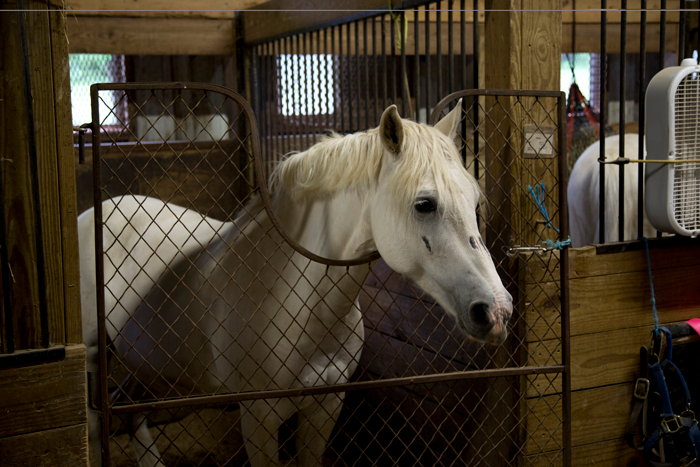 Guy Demands Girlfriend Put Down Her Horse Because He Thinks She Should &ldquo;Prioritize Their Relationship&rdquo;