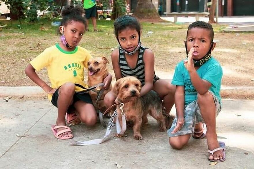 In Brazil, Dogs Make Homeless Children's Lives A Little Less Sad (30 Pics)