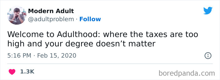 Tweet about adulthood humor highlighting high taxes and the irrelevance of degrees, reflecting adulting challenges.