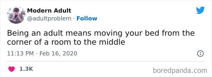 Modern-Adult-Struggles-Adultproblem