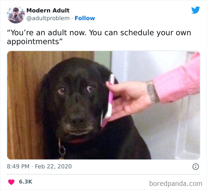 Black dog looking confused as a hand holds a phone to its ear, illustrating funny adulting moments.