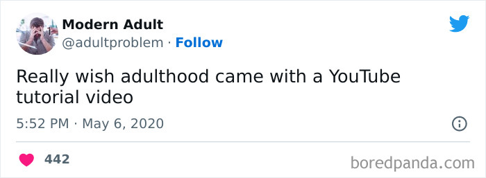 Modern-Adult-Struggles-Adultproblem