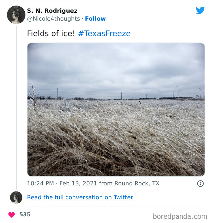 Everything Turns To Ice