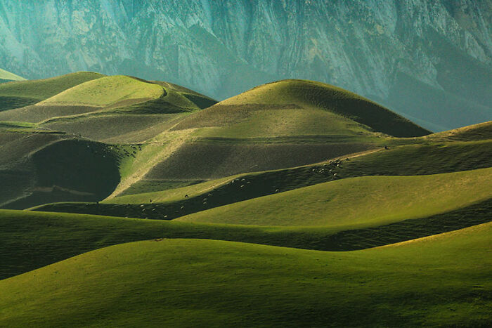 Rolling green hills under soft sunlight in Afghanistan, showcasing the country's natural landscape during travel photography.