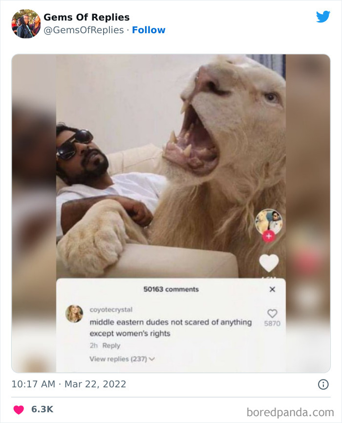 Funniest-Comebacks-Gems-Of-Replies