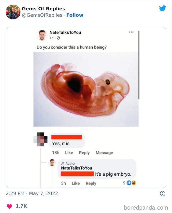 Funniest-Comebacks-Gems-Of-Replies