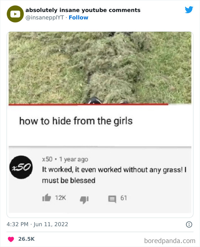 Funny-Insane-Youtube-Comments