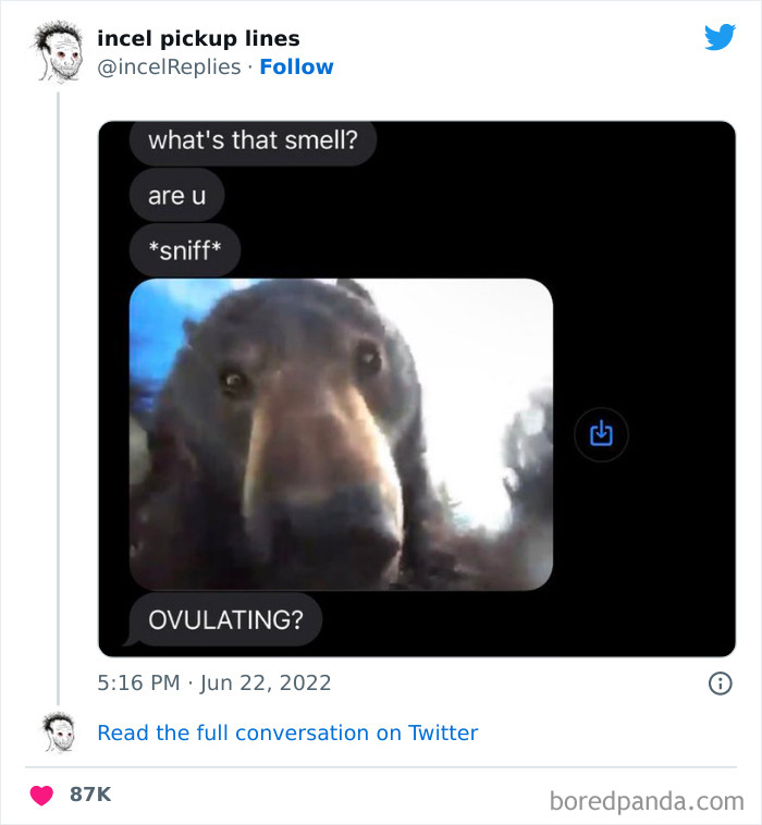 Pathetic-Incel-Pickup-Lines