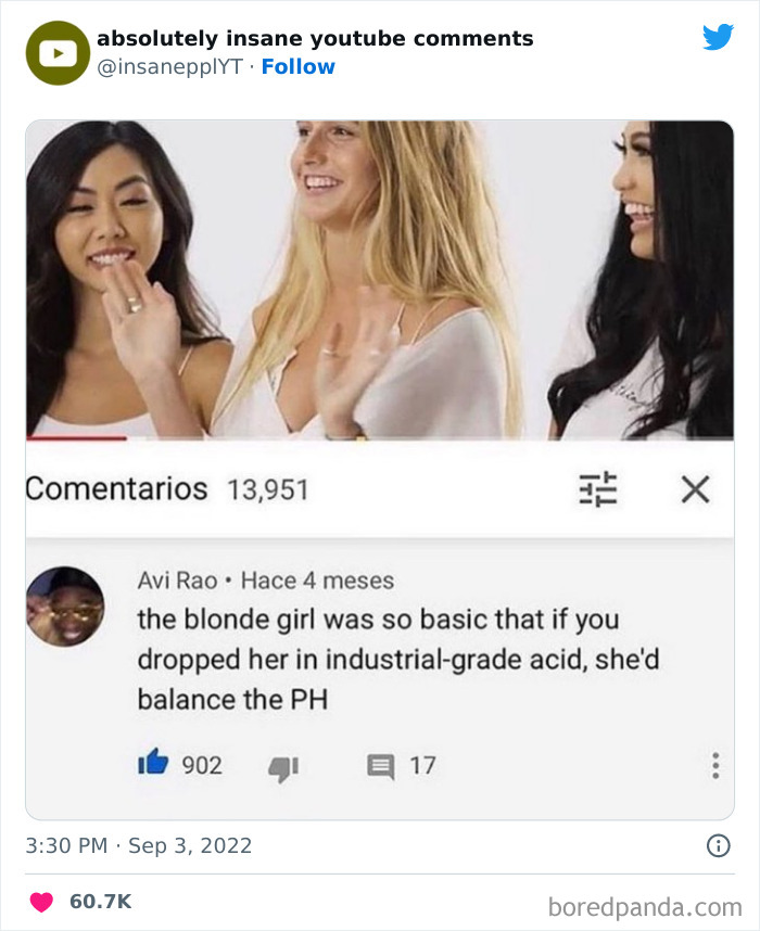 Funny-Insane-Youtube-Comments