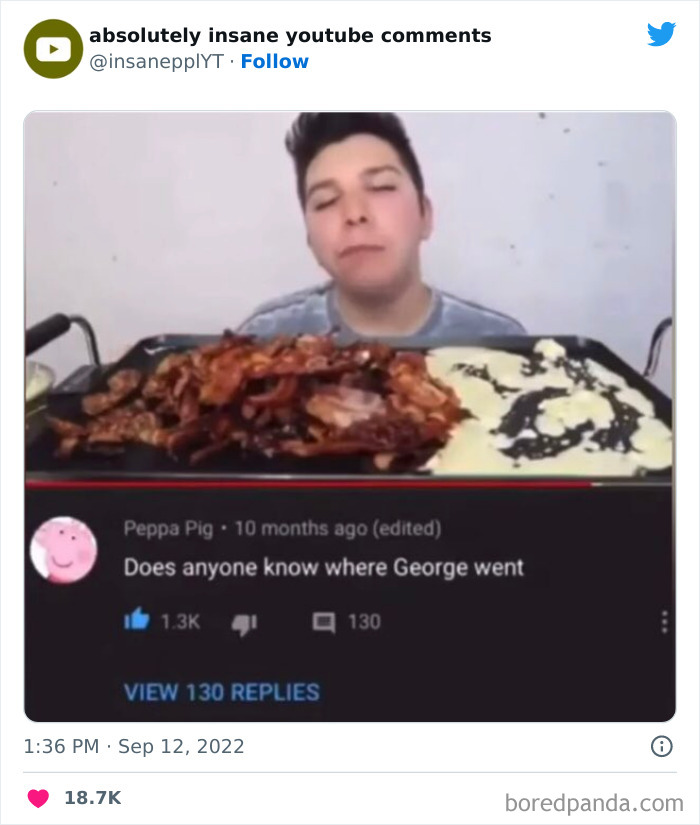 Funny-Insane-Youtube-Comments