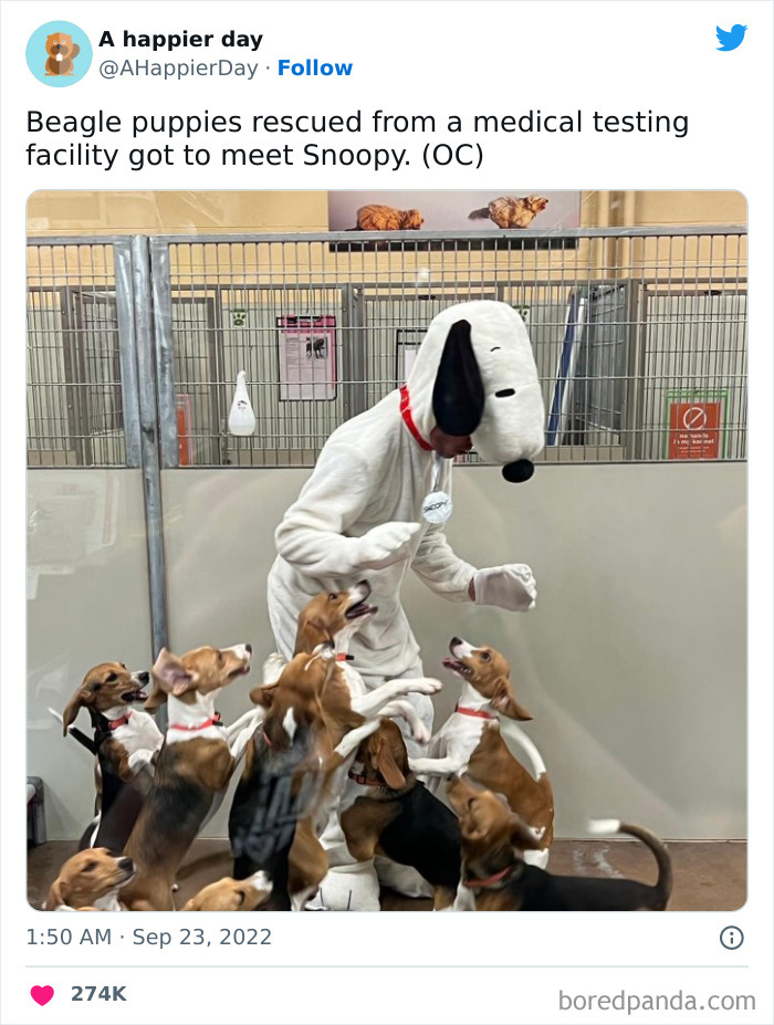 Amusing-Best-Worst-Tweets