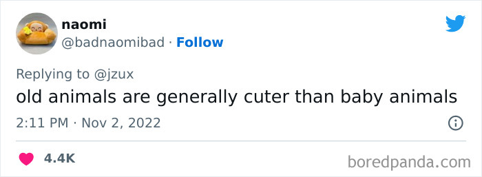 Unpopular-Controversial-Opinions